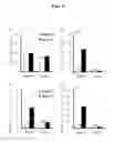 Fig. 04 - BIOMARKER OF Nrf2 ACTIVATION