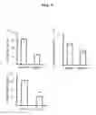 Fig. 05 - BIOMARKER OF Nrf2 ACTIVATION