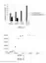 Fig. 08 - Method for bioleaching and solvent extraction with selective recovery of copper and zinc from polymetal concentrates of sulfides