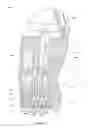 Fig. 13 - Atomic layer deposition head