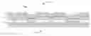 Fig. 01 - High softness, high durability batch tissue incorporating high lignin eucalyptus fiber