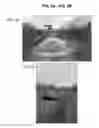 Fig. 04 - STABILIZING AGENTS AND METHODS OF USE THEREOF
