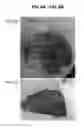 Fig. 07 - STABILIZING AGENTS AND METHODS OF USE THEREOF