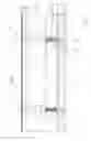 Fig. 02 - Insulating wall, a column assembly therefore and a method of constructing such an insulating wall