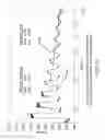 Fig. 17 - Completions index analysis