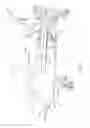 Fig. 03 - CONFORMAL SURFACE HEAT EXCHANGER FOR AIRCRAFT