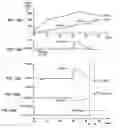 Fig. 09 - Combustion control apparatus for internal combustion engine