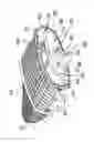 Fig. 09 - Hollow filter element, filter housing, and filter