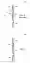 Fig. 04 - System and method for controlling bonding material in a wind turbine blade