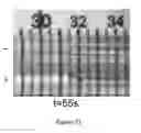 Fig. 22 - HIGH-PERFORMANCE, LOW-VOLTAGE ELECTROOSMOTIC PUMPS WITH MOLECULARLY THIN NANOMEMBRANES