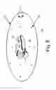 Fig. 15 - BLADELESS FLUID PROPULSION PUMP