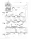 Fig. 07 - Multi-layer pressure actuated extendable hose