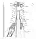 Fig. 01 - SUPPORT FOR PHOTOGRAPHIC APPARATUSES