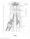 Fig. 02 - SUPPORT FOR PHOTOGRAPHIC APPARATUSES