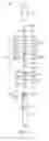 Fig. 02 - Nestable collapsible support apparatus