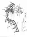Fig. 21 - Suspended load carrying system