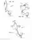 Fig. 02 - Electric lighting devices having a movable flame-shaped piece with a hollow interior