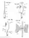 Fig. 09 - Electric lighting devices having a movable flame-shaped piece with a hollow interior