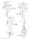 Fig. 13 - Electric lighting devices having a movable flame-shaped piece with a hollow interior