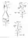 Fig. 14 - Electric lighting devices having a movable flame-shaped piece with a hollow interior