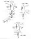 Fig. 22 - Electric lighting devices having a movable flame-shaped piece with a hollow interior