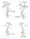 Fig. 28 - Electric lighting devices having a movable flame-shaped piece with a hollow interior