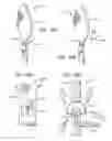 Fig. 35 - Electric lighting devices having a movable flame-shaped piece with a hollow interior