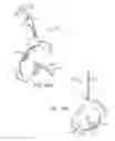 Fig. 41 - Electric lighting devices having a movable flame-shaped piece with a hollow interior