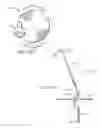 Fig. 49 - Electric lighting devices having a movable flame-shaped piece with a hollow interior