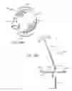 Fig. 53 - Electric lighting devices having a movable flame-shaped piece with a hollow interior