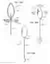 Fig. 55 - Electric lighting devices having a movable flame-shaped piece with a hollow interior