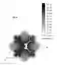 Fig. 05 - LED lamp with fins functioning as radiating heat sinks