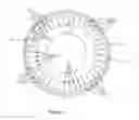 Fig. 05 - LED Luminaire Tertiary Optic System
