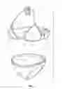 Fig. 02 - Lighted Swimwear