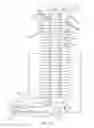 Fig. 66 - FLEXIBLE COOLING LINE ASSEMBLY