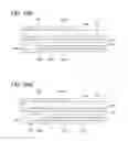 Fig. 25 - Electronic device, electronic apparatus, and moving object