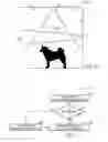 Fig. 13 - Adaptive threshold manipulation for movement detecting sensors