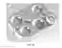 Fig. 04 - SWAB PORT FOR MICROFLUIDIC DEVICES
