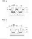 Fig. 03 - SUBSTRATE FOR ADHESION OF BIOLOGICAL MATTER, AND PRODUCTION METHOD AND STORAGE METHOD FOR SAME
