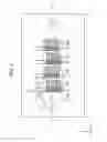 Fig. 03 - PARTICLE ARRANGING DEVICE AND METHOD