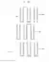 Fig. 23 - PARTICLE ARRANGING DEVICE AND METHOD