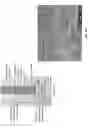 Fig. 12 - Hydrocarbon sensing methods and apparatus