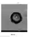 Fig. 10 - Nanotip sensor