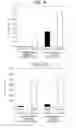 Fig. 08 - Method of detecting test substance