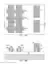 Fig. 20 - Nanochannel electrode devices