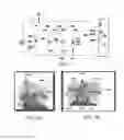 Fig. 05 - Systems and methods for sample preparation, processing and analysis