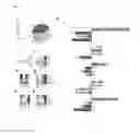 Fig. 07 - ARRAYS OF DISCRETE CELL CULTURE MICROENVIRONMENTS, METHOD OF MAKING SUCH ARRAYS AND USES THEREOF