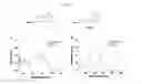 Fig. 02 - Fluorescent probe sensing tyrosine kinase and use thereof