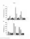 Fig. 11 - Fluorescent probe sensing tyrosine kinase and use thereof
