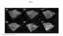 Fig. 18 - Fluorescent probe sensing tyrosine kinase and use thereof